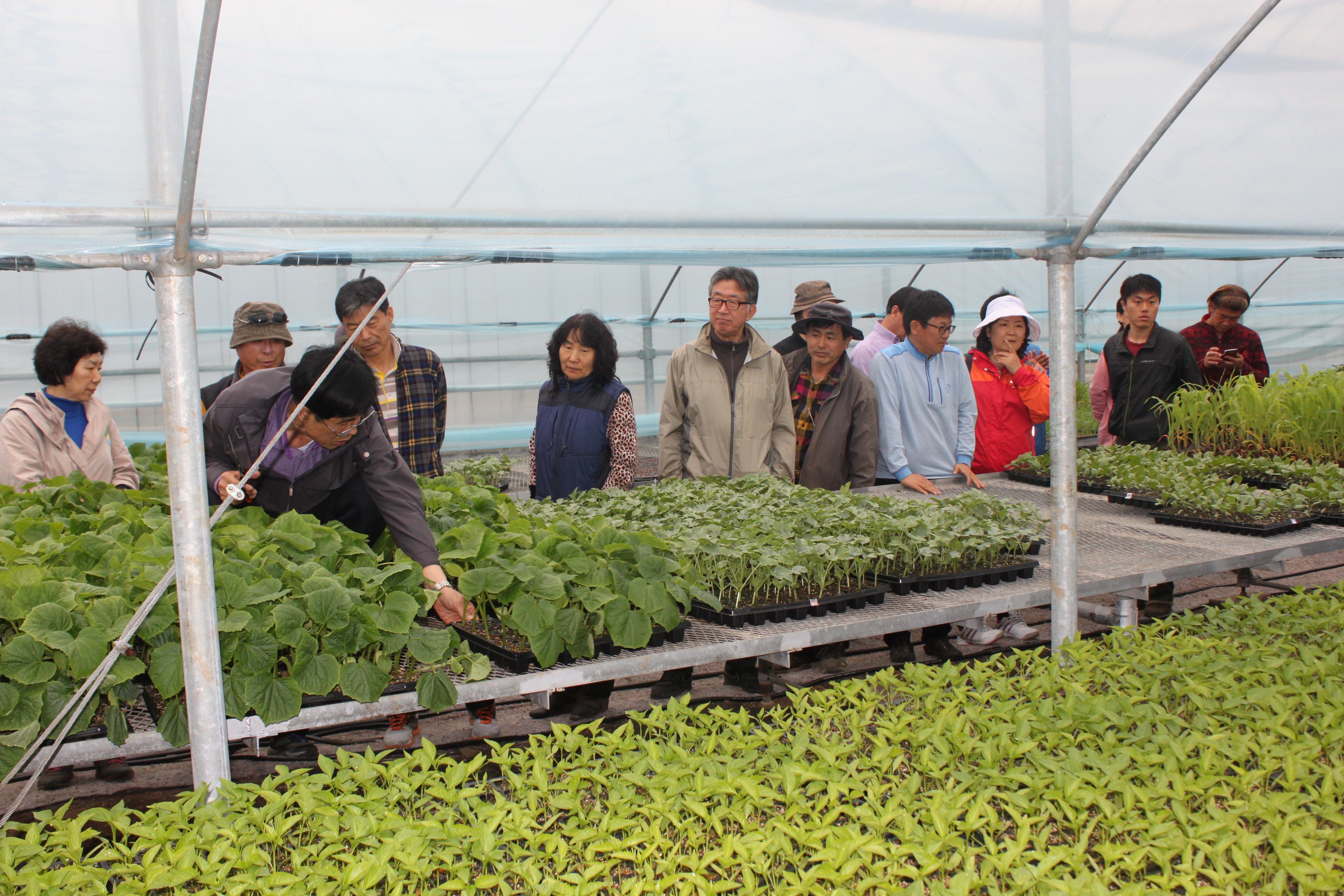 귀농 귀촌인 채소묘 교육 실시
